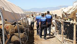 Zabıta Ekiplerinden Kurban Satış Yerlerinde Denetim