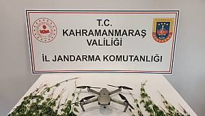 Kahramanmaraş’ta mısır tarlasında kenevir operasyonu