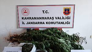 Pazarcık’ta uyuşturucu operasyonu