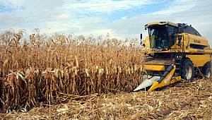 Başkan Gürbüz, “Cin mısırında Türkiye rekoltesinin yüzde 83'ünü Elbistan karşılıyor “ 