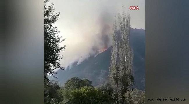 Osmaniye-Kahramanmaraş sınırında orman yangını..