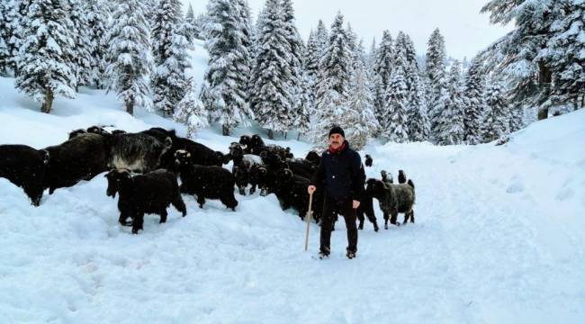 Kahramanmaraş'ta kar etkili oldu 