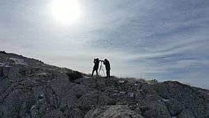 Kahramanmaraş’ta koruma altındaki hayvanları avlayanlara ceza yağdı 