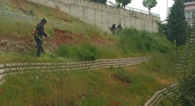 Dulkadiroğlu Belediyesi, Çevre Temizliği Konusunda Özverili Bir Çalışma Ortaya Koydu