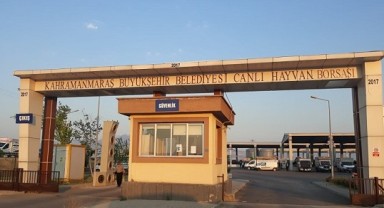 Canlı Hayvan Borsası’nda Padok Kiralama İşlemleri Başladı!