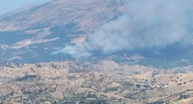 Kahramanmaraş'ta orman yangını..