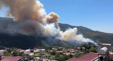Ormanlarının çıkış sebebi yüzde 89 insan kaynaklı..