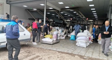 Kahramanmaraş’ta Zeytinin Yağa Dönüşüm Yolculuğu Başladı