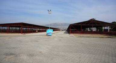 Canlı Hayvan Borsası’nda Padok Kiralama İşlemleri 27 Mayıs’ta Başlayacak