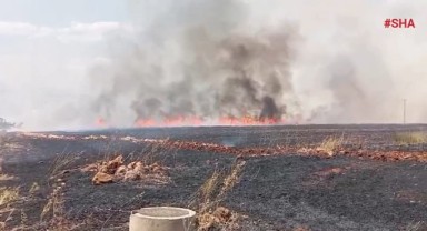 Pazarcık’ta çıkan yangın bin dönümlük ekili araziyi kül etti
