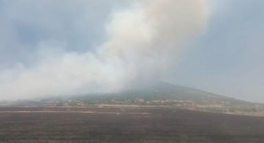 Pazarcık’ta orman yangını..