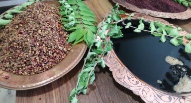 Kahramanmaraş'ta Çiftçilere Sumak Fidesi Üretimi Başladı