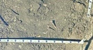 Kahramanmaraş'ta 20 Yıldır Kayıp Olan Kız Kardeşlerin Cesedi Bulundu 