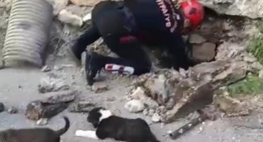 Su Giderine Sıkışan Köpek Yavruları Kurtarıldı..