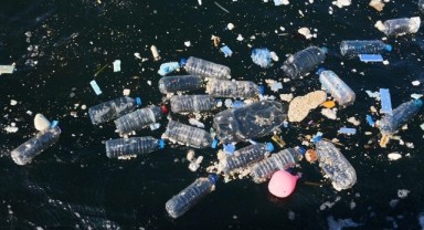 Doğayla Uyumlu Yaşamalıyız: Plastik Kirliliğine Son Ver, Yaşamı Koru!.