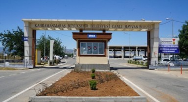 Hayvan Borsası’nda Hazırlıklar Tamamlandı..