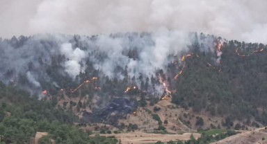 Büyükşehir İtfaiyesi Çamlıbel’deki Yangına Müdahale İçin Seferber Oldu..