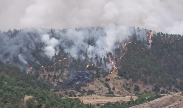 Büyükşehir İtfaiyesi Çamlıbel’deki Yangına Müdahale İçin Seferber Oldu..