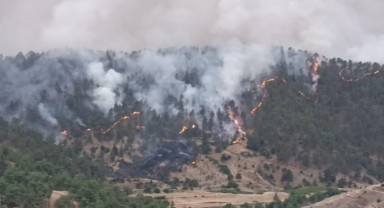 Kahramanmaraş'ta Orman Yangını Kontrol Altında..