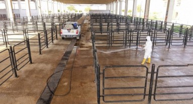 Canlı Hayvan Pazarı’nda Halk Sağlığı İçin Kapsamlı Çalışma..