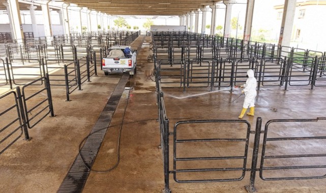 Canlı Hayvan Pazarı’nda Halk Sağlığı İçin Kapsamlı Çalışma..