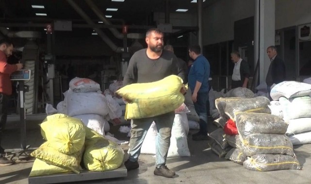 Kahramanmaraş’ta 5 Bin Ton Sızma Zeytinyağı Üretildi..