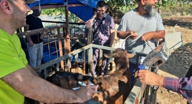 İHH Kurban Bayramı’nda Yetim ve Depremzede Aileleri Unutmadı..