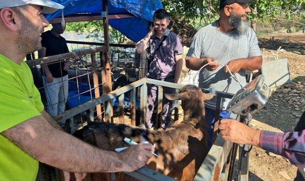 İHH Kurban Bayramı’nda Yetim ve Depremzede Aileleri Unutmadı..