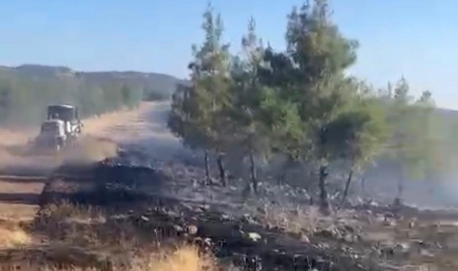 Gaziantep’te orman yangını kontrol altına alındı 