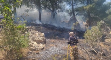 Kahramanmaraş’ta Ormanlık Alanda Çıkan Yangın Söndürüldü