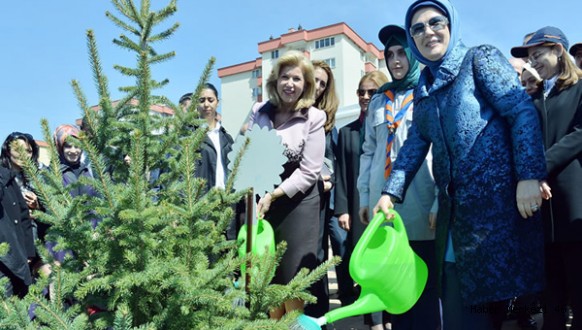 “3 Milyar 250 Milyon Fidanı Toprakla Buluşturduk”