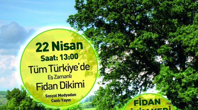 81 İLDE 100 BİN GÖNÜLLÜ, 100 BİN FİDAN DİKECEK