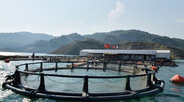 ALABALIK ÜRETİMİNDE KIYI KENTLERİYLE YARIŞIYORUZ