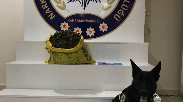 ALFİ DESTEKLİ NARKOTİK OPERASYONU