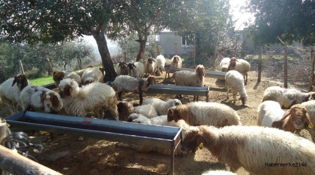 BAKANLIKTAN ORMAN KÖYLÜLERİNE 33 MİLYON 321 BİN TL KATKI…