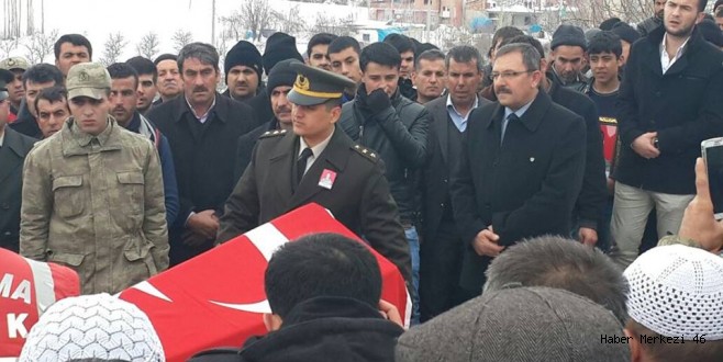 Başımız Sağolsun...