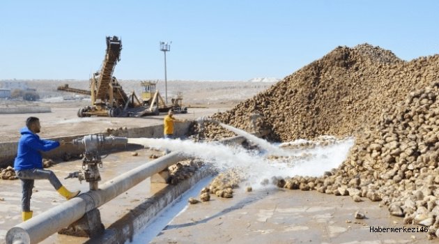 BEYAZ ALTINDA HEDEF: 54 TON