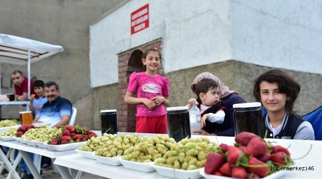 DULKADİROĞLU DUT SATIŞ NOKTASI'NDA SEZON AÇILDI..