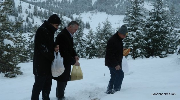 Ekinözü ’nde Ak Partililer Aç Kalan Yaban Hayvanları Unutmadı..