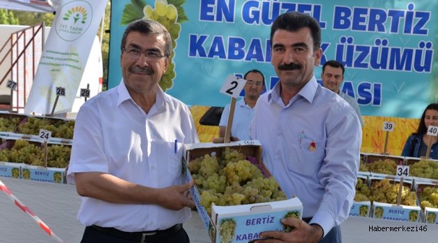 EN GÜZEL BERTİZ KABARCIK ÜZÜMÜ YARIŞMASI YAPILDI