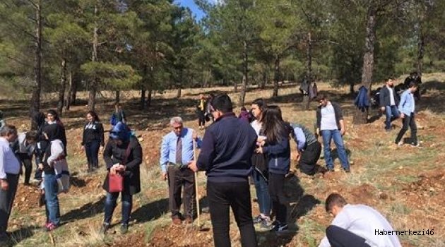 FİNAL’İN FİDANLARI TOPRAKLA BULUŞTU